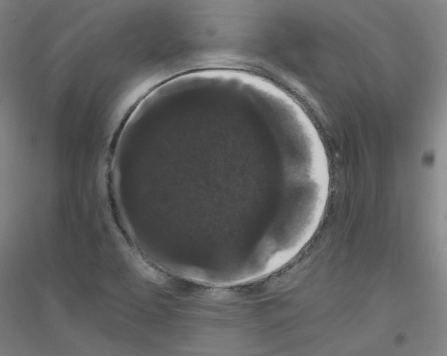 X0000116781463201001281111