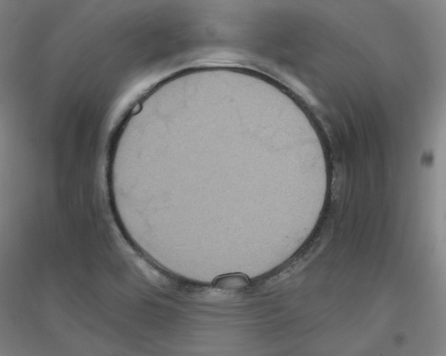 X0000116781464201001281111