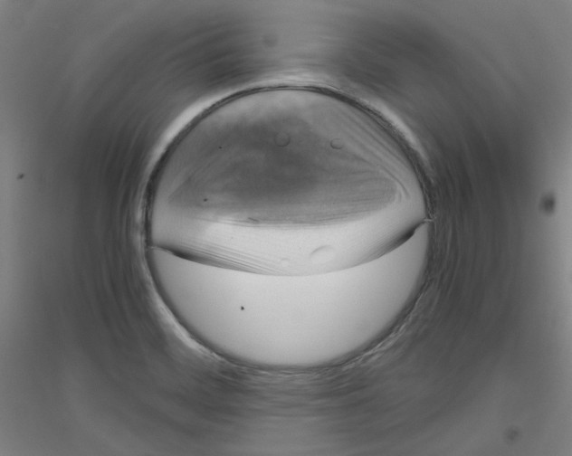 X0000116781468201001281111