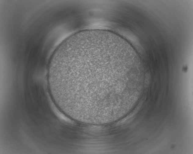 X0000116781470201001281111