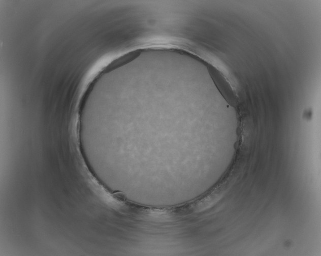 X0000116781472201001281111