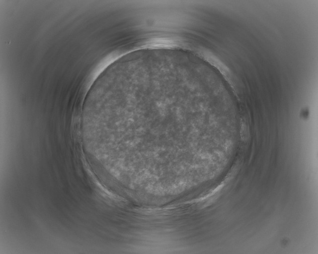 X0000116781473201001281111