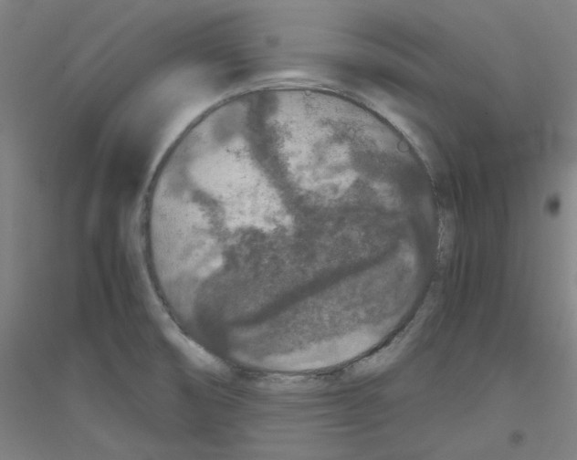 X0000116781474201001281111