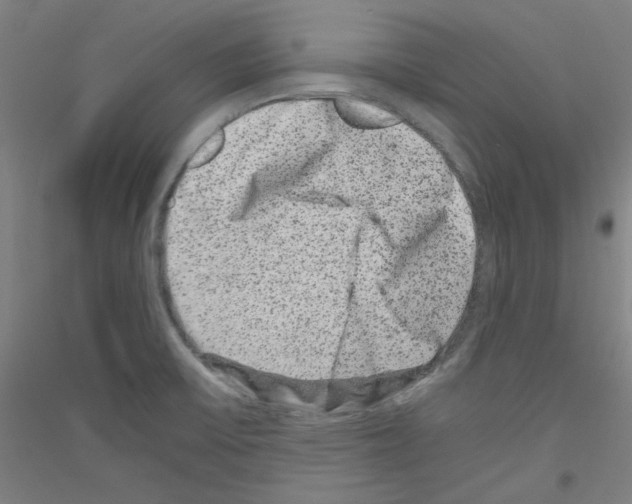 X0000116781475201001281111