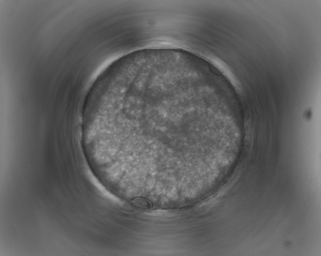 X0000116781476201001281111