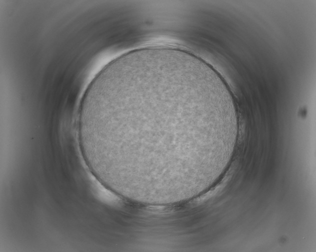 X0000116781478201001281111