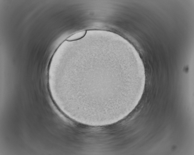 X0000116781479201001281111