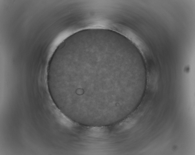 X0000116781480201001281111