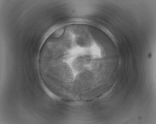 X0000116781482201001281111