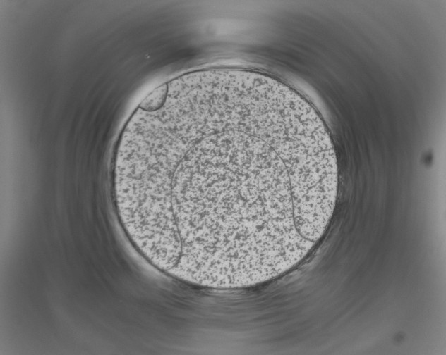 X0000116781483201001281111