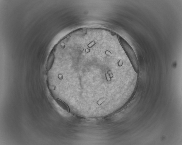 X0000116781485201001281111