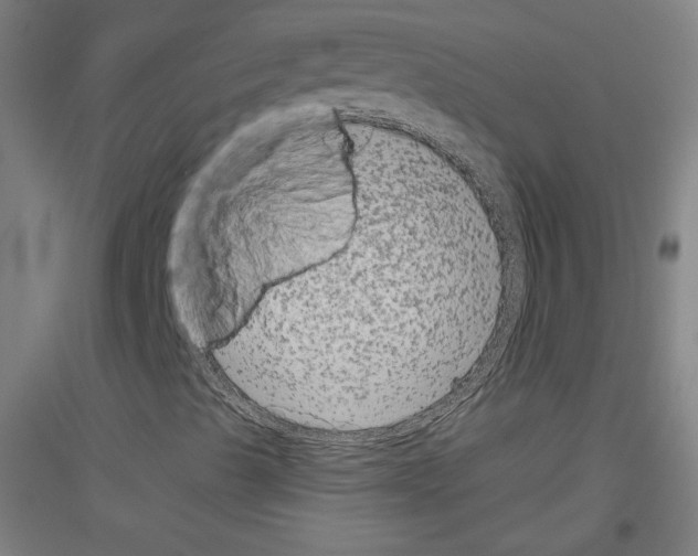 X0000116781489201001281110