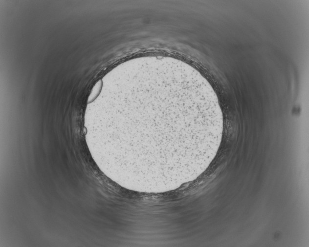 X0000116781490201001281110