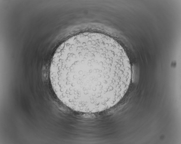 X0000116781491201001281110