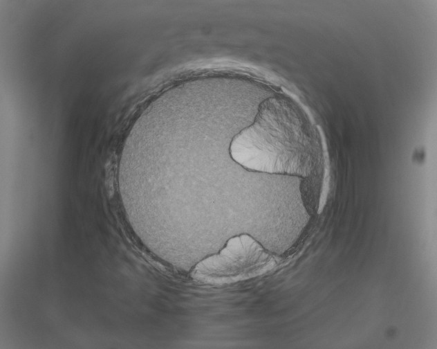 X0000116781493201001281110