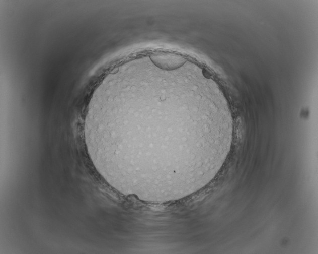 X0000116781495201001281110