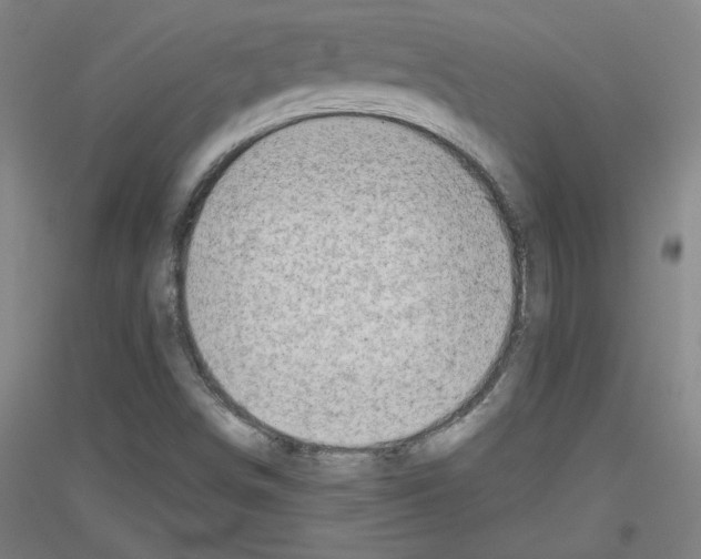 X0000116781498201001281110