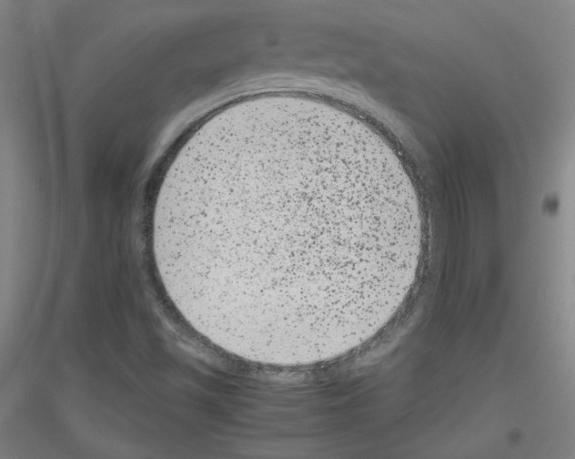 X0000116781501201001281110