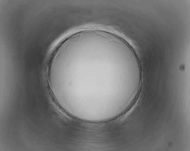 X0000116781502201001281110