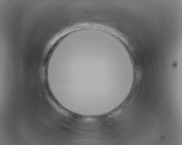 X0000116781503201001281110