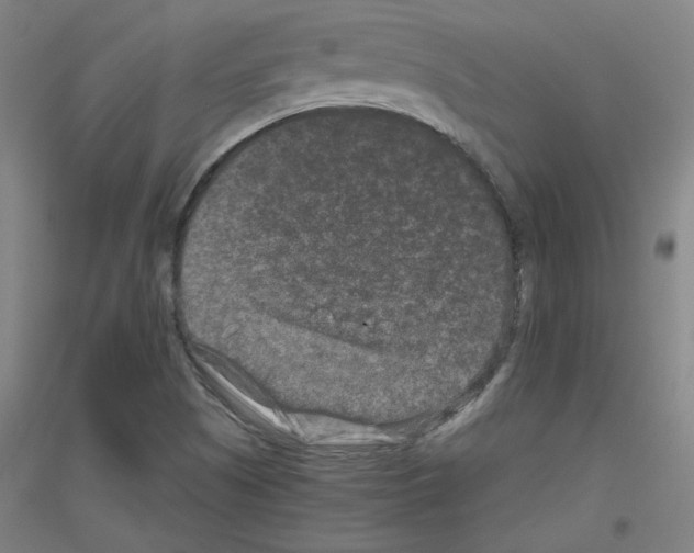 X0000116781505201001281110