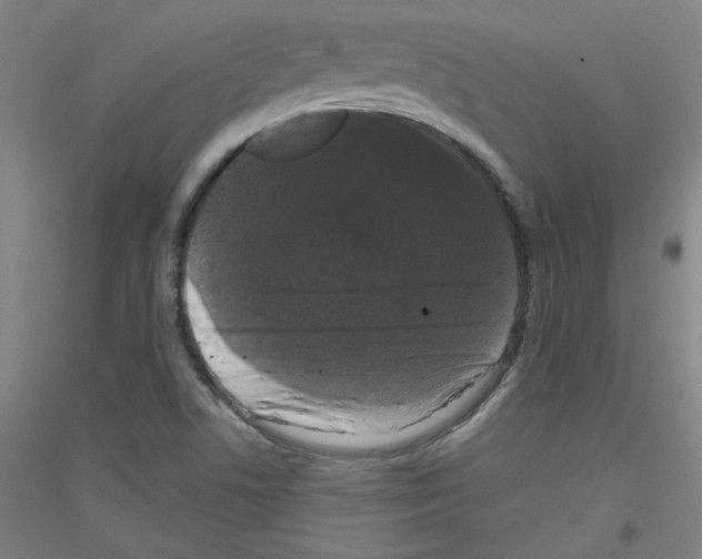 X0000116781506201001281110