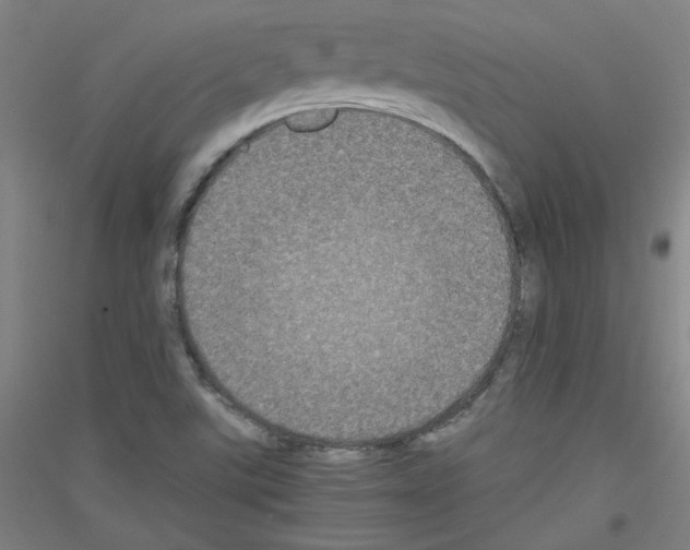 X0000116781507201001281111