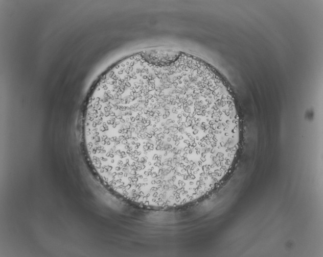 X0000116781510201001281111