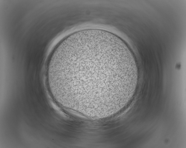 X0000116781511201001281111