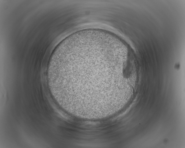 X0000116781513201001281111