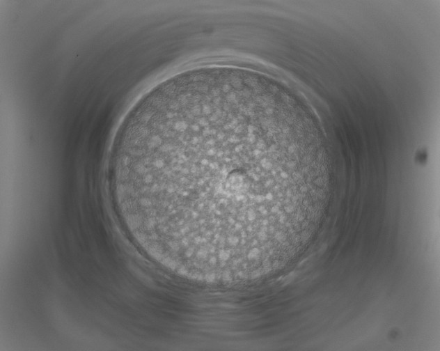 X0000116781514201001281111