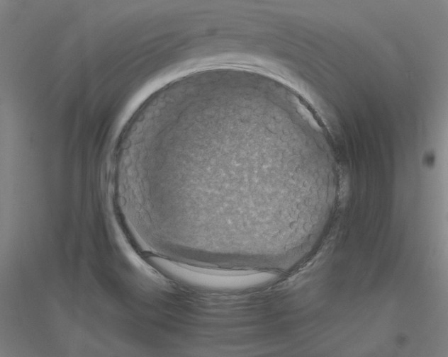 X0000116781515201001281111