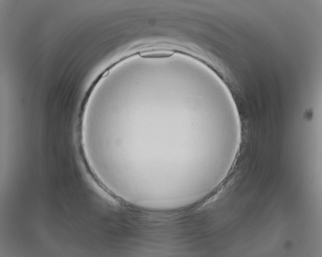 X0000116781518201001281111