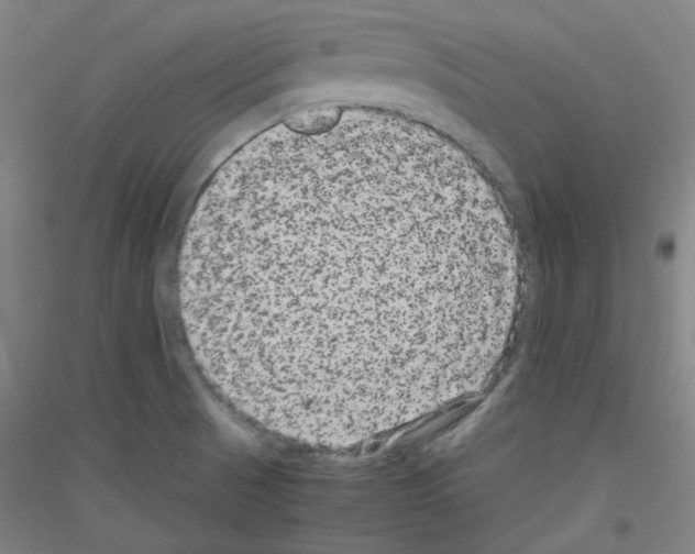 X0000116781521201001281111