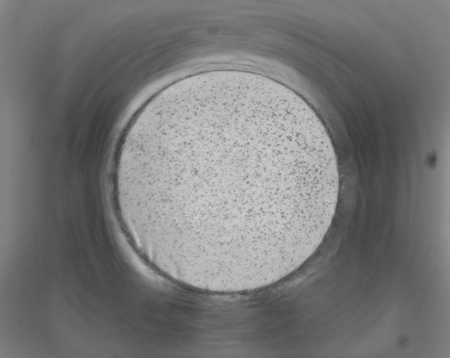 X0000116781523201001281111