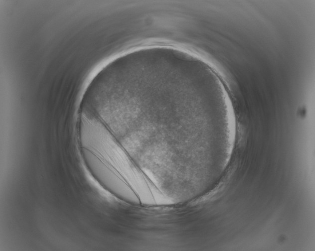 X0000116781527201001281111