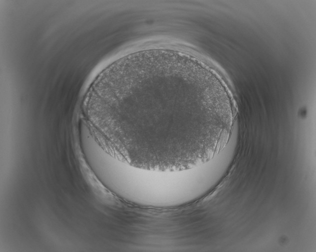 X0000116781530201001281111