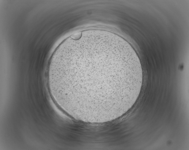 X0000116781531201001281111