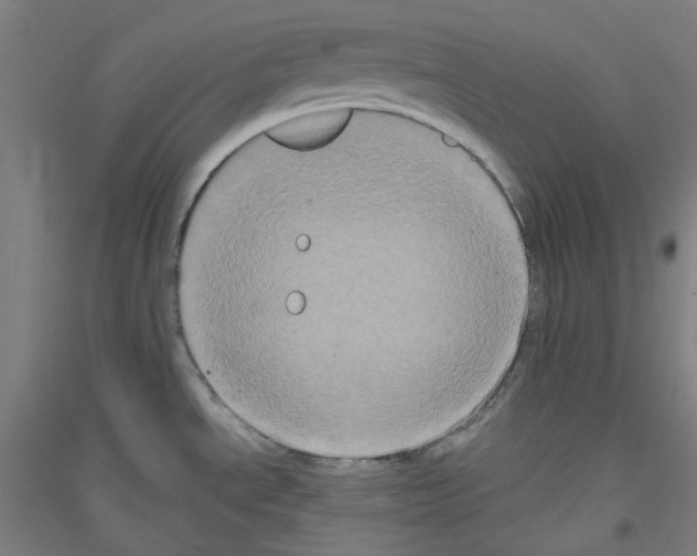 X0000116781534201001281111