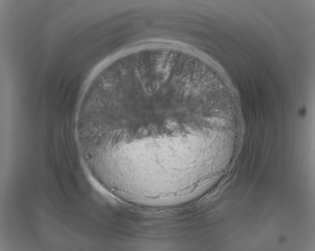 X0000116781535201001281111