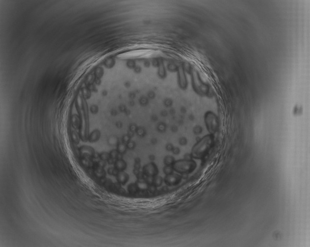 X0000116780001201001281224