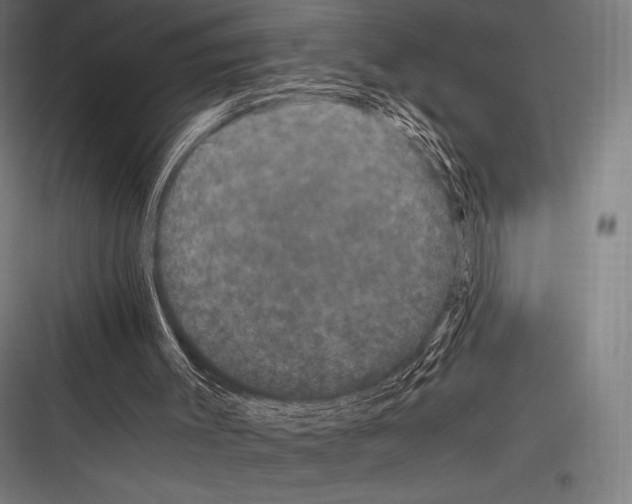 X0000116780003201001281224