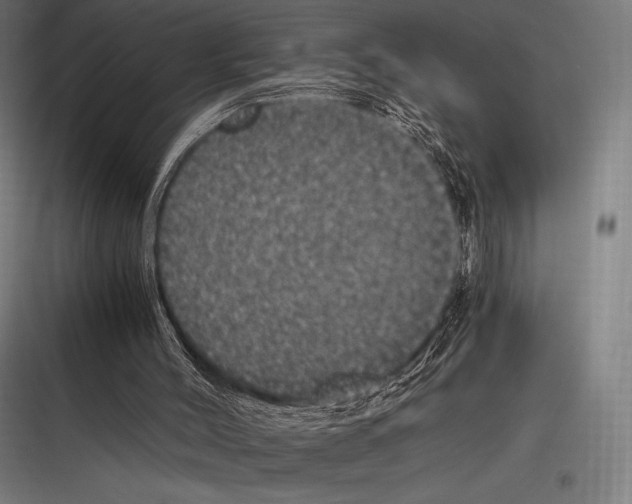 X0000116780004201001281224