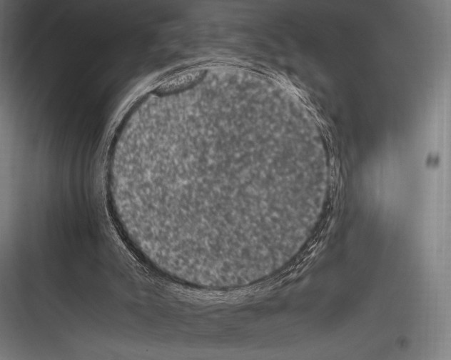 X0000116780007201001281224