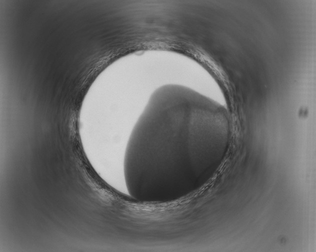 X0000116780009201001281224