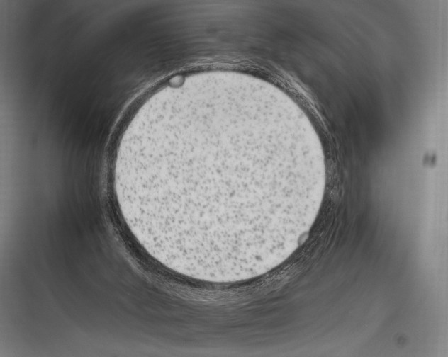 X0000116780012201001281224