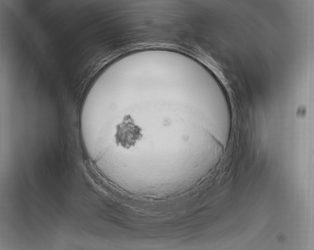 X0000116780013201001281224