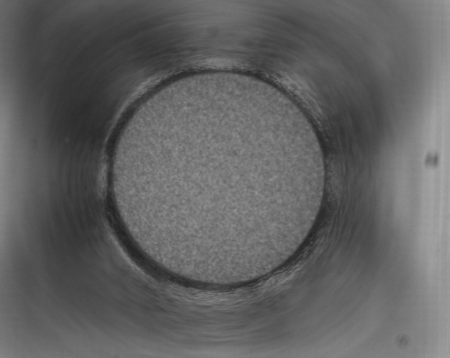 X0000116780016201001281224