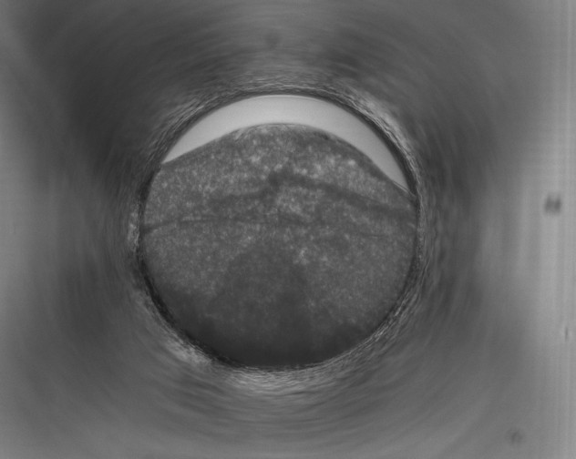 X0000116780017201001281224