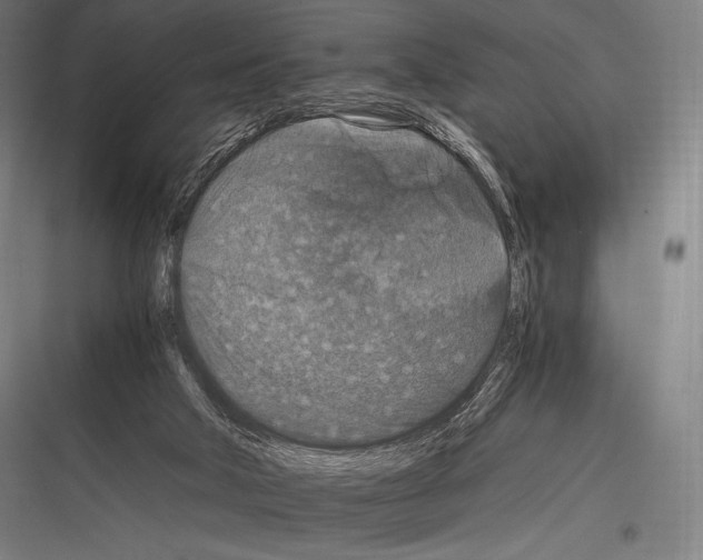 X0000116780018201001281224